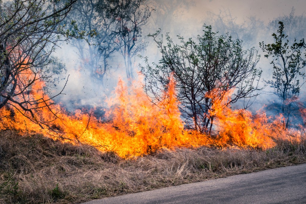 ushfire approaching residential area, emphasising the need for bushfire risk assessments and emergency planning support from Next Practice Management.